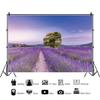 Xiaoterna 4.5 x 3 m Lavender Manor House Photography Backdrop view 2