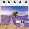 Xiaoterna 4.5 x 3 m Lavender Manor House Photography Backdrop view 3