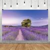 Xiaoterna 4.5 x 3 m Lavender Manor House Photography Backdrop view 4