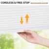 LazBlinds Light-Filtering Cellular Shade, 50.8 x 162.6 cm, White view 3