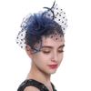 Vintage Carnival Fascinator Hat with Netting, 1 Piece view 4