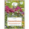 Grüne Fee – Summer Flower Mix, Semi-Tall Varieties, Seeds – 13240 view 1