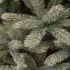 Black Box Trees Nagoya Artificial Christmas Tree - H 120 x 79 cm - Green with Frosted Look view 3