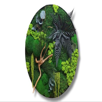 HelloMoss Moss Wall Art with Frame, 50 cm – XXL Preserved Iceland Moss