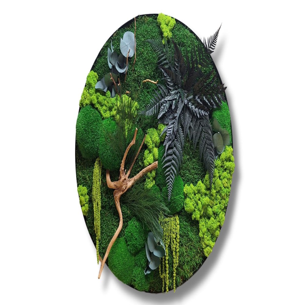 HelloMoss Moss Wall Art with Frame, 50 cm – XXL Preserved Iceland Moss