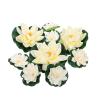 KAILIKETIY Artificial Water Lilies, 9-Piece EVA Floating Set for Garden Ponds view 1