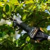 Batavia 18V Nexxcut Brushless Cordless Pruning Shears - 30 mm view 2