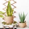 Woven Seagrass Planter Basket with Chain and Hook, Khaki view 2