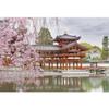 Xiaoterna 2.7 x 1.8 m Japanese Garden Cherry Blossom Pavilion Photography Backdrop view 1