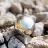 Mirror-Polished Hollow Gazing Ball view 2