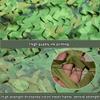 Camouflage Net 2 x 3 m, Camo Mesh for Hunting, Camping, Military Activities and Decoration view 3