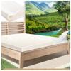 Generic Organic 100% Natural Latex Mattress Topper, Pressure-Relieving Mattress Pad for Back Pain, Organic Latex Cover, 3 in, 65 x 79 in view 2