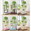4-Tier Plant Stand, Metal Display Shelf for Indoor and Outdoor Use view 3