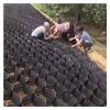 Polyethylene Geo Grid for Driveways, Walkways and Gardens, 5 cm High, 3 x 8 m view 1