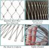DTVEW 304 Stainless Steel Cable Net, Flexible X-Type Mesh, 6 cm/1.5 mm Fall-Protection Net, Poultry Cage Net (1.5 x 5 m) view 4
