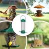 Outdoor Squirrel Feeder with Squirrel-Proof Metal Bracket view 4