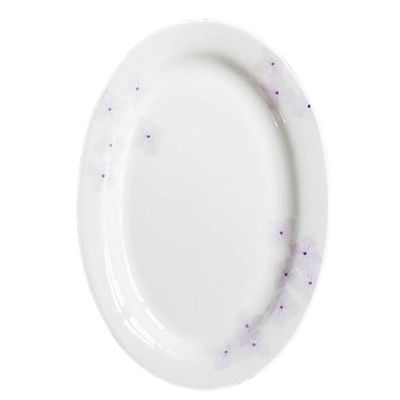 EINES Oval Hand-Painted Glazed Ceramic Dinner Plate