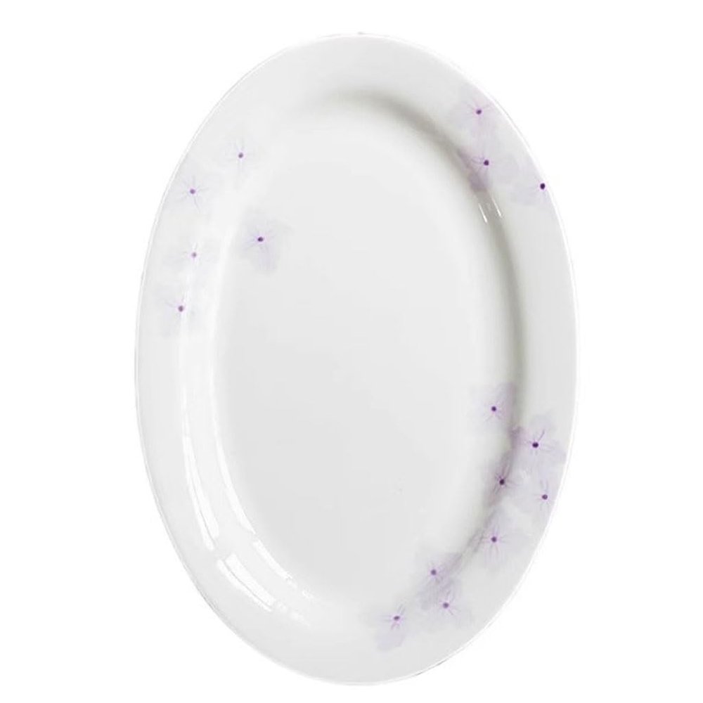 EINES Oval Hand-Painted Glazed Ceramic Dinner Plate