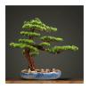 Artificial Bonsai Tree in Blue Ceramic Pot view 1