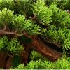 Artificial Bonsai Tree in Blue Ceramic Pot view 3