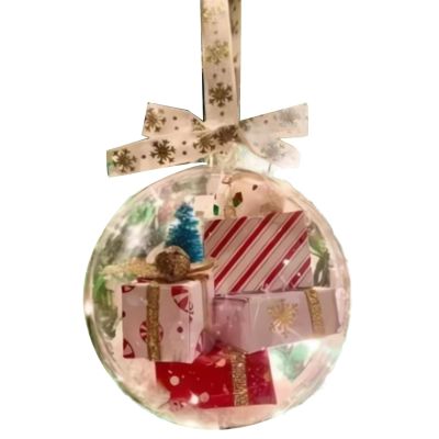 Funny Christmas Package Ornament