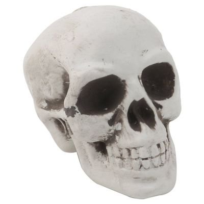 ROYJJ Human Skull Decor, Skeleton Head, Halloween, Coffee, Orna, Skull Model
