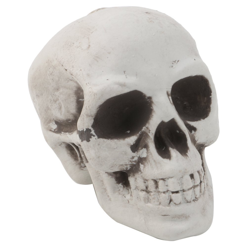 ROYJJ Human Skull Decor, Skeleton Head, Halloween, Coffee, Orna, Skull Model