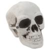 ROYJJ Human Skull Decor, Skeleton Head, Halloween, Coffee, Orna, Skull Model view 1