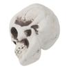 ROYJJ Human Skull Decor, Skeleton Head, Halloween, Coffee, Orna, Skull Model view 4