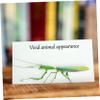 Sosoport Lifelike Insect Animal Figurine Set for Garden and Lawn view 2
