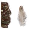 50PCS Horse and Chicken Feathers, 5–8 cm Dyed Feathers for Table Centerpieces, Wedding Party Decoration and DIY Accessories (Gray, 500pcs) view 1