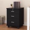 Filing Cabinet with Locking Drawer, Low-Profile Printer Stand, Natural Finish view 2