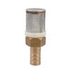 Check Valve Filter Strainer, Garden Hose Filter, 1-Piece Brass and Stainless Steel Mesh Filter (19 mm/1 in) view 1