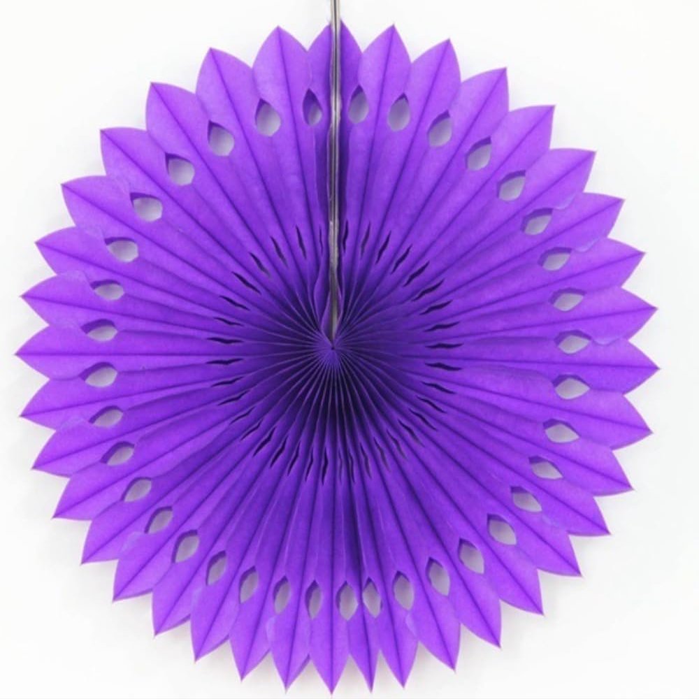 Anevous 10-Pack Paper Party Decorations, 25 cm Paper Fan Honeycomb Balls, Dark Purple