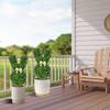 Artificial Boxwood Bunny Topiary Garden Stake, 1 pc view 3