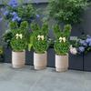 Artificial Boxwood Bunny Topiary Garden Stake, 1 pc view 4
