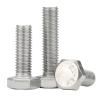Saharuse 304 Stainless Steel Extended Hex-Head Screw M20x45 view 4