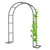 Generic Metal Rose Arch Trellis, Black, 120 x 220 cm view 1