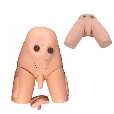UIGJIOG Interchangeable Male and Female Human Catheterization Training Model