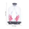 BUGUUYO Anatomical Lung Model with Detailed Plastic Structure for Middle School Science Experiments view 2