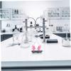 BUGUUYO Anatomical Lung Model with Detailed Plastic Structure for Middle School Science Experiments view 4