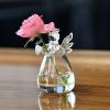 Small Hydroponic Vase – Transparent Flower Vase for Plants view 2