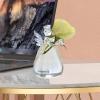 Small Hydroponic Vase – Transparent Flower Vase for Plants view 3