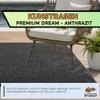Internethandel Pfordt Premium Dream Artificial Grass, Anthracite, 200 x 400 cm view 2
