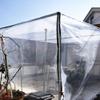 Thick Perforated Transparent Plastic Tarp for Flower and Plant Protection, Rainproof Film (Size: 2 x 4 m) view 2