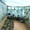 Thick Perforated Transparent Plastic Tarp for Flower and Plant Protection, Rainproof Film (Size: 2 x 4 m) view 4