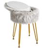 IBUYKE Faux Fur Vanity Stool with Storage, Gray WBD021G view 1