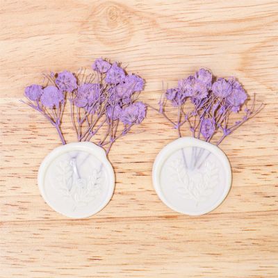 HAJHI Dried Flower Wax Seal Stickers, 30 pcs, Purple-A