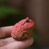 MIONGKI Creative Small Horned Frog, Purple Clay Tea Pet view 1