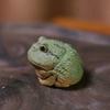 MIONGKI Creative Small Horned Frog, Purple Clay Tea Pet view 2